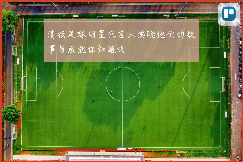 清扬足球明星代言人揭晓他们的故事与成就你知道吗