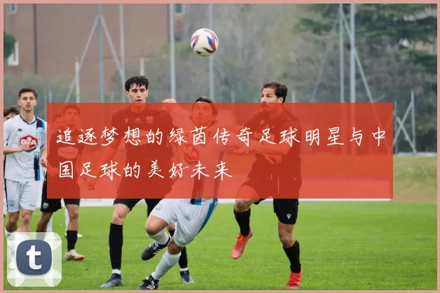 追逐梦想的绿茵传奇足球明星与中国足球的美好未来