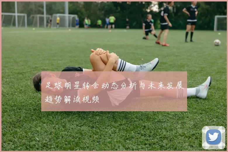 足球明星转会动态分析与未来发展趋势解读视频