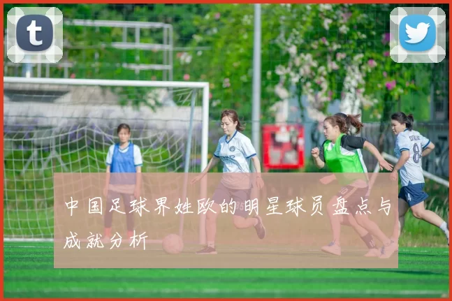 中国足球界姓欧的明星球员盘点与成就分析