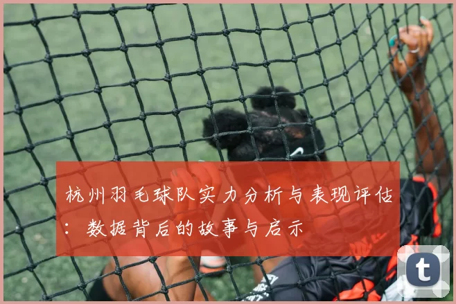 杭州羽毛球队实力分析与表现评估：数据背后的故事与启示