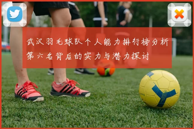 武汉羽毛球队个人能力排行榜分析第六名背后的实力与潜力探讨