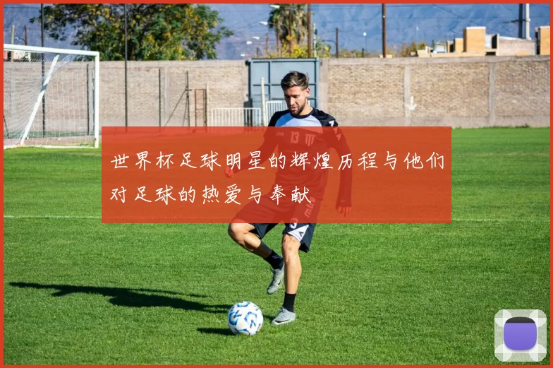 世界杯足球明星的辉煌历程与他们对足球的热爱与奉献