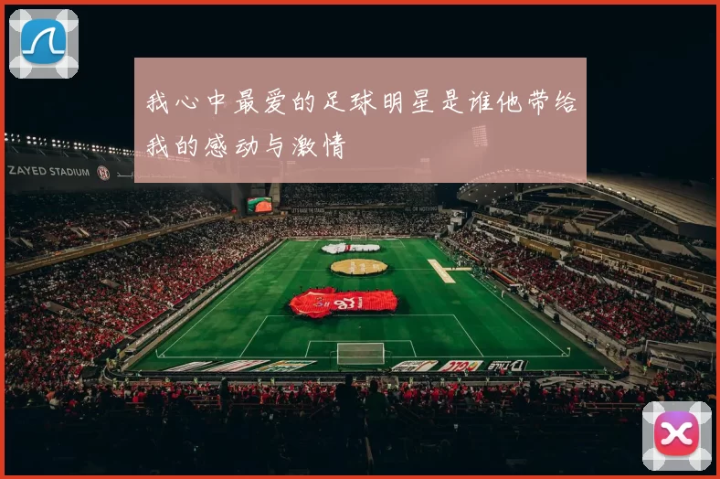 我心中最爱的足球明星是谁他带给我的感动与激情