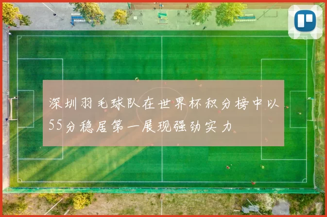 深圳羽毛球队在世界杯积分榜中以55分稳居第一展现强劲实力
