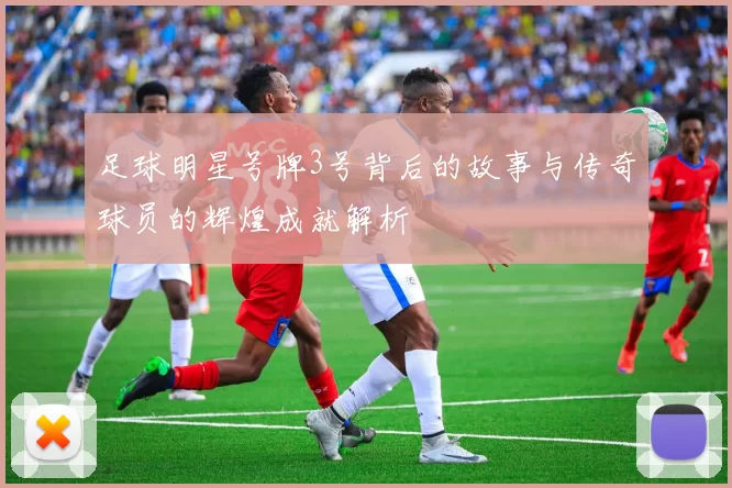 足球明星号牌3号背后的故事与传奇球员的辉煌成就解析
