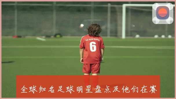 全球知名足球明星盘点及他们在赛场上的辉煌成就